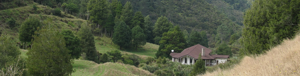 Kuranui Hunting Lodge View