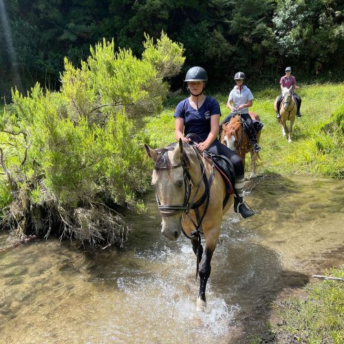 Horse Trekking