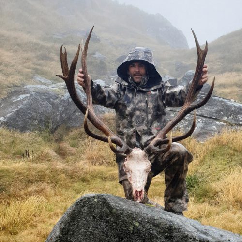 Brent-Wapiti-Fiordland