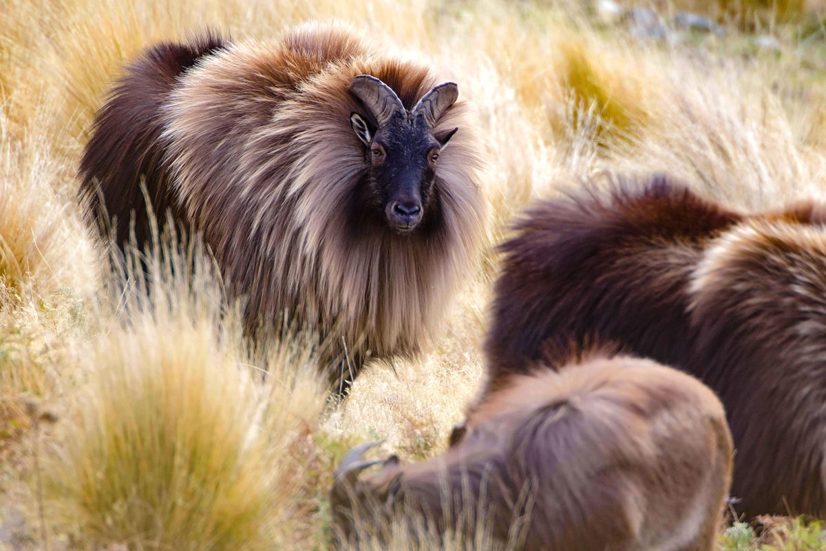 Eye-On-The-Prize_2000_TAHR