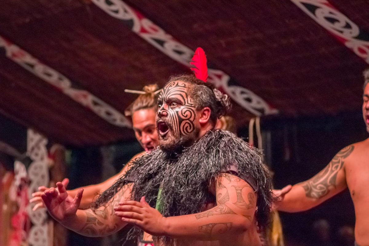 NORTH ISLAND, NEW ZEALAND- MAY 17, 2017: Close up of a Tamaki Maori leader man dancing with traditionally tatooed face and in traditional dress at Maori Culture wearing a red feather in his head